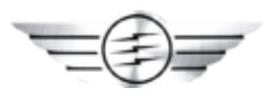 Partner wing emblem logo